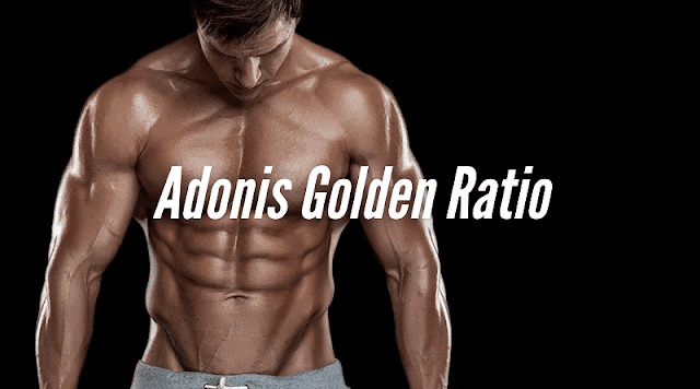 Achieve Your Perfect Physique with the Adonis Golden Ratio